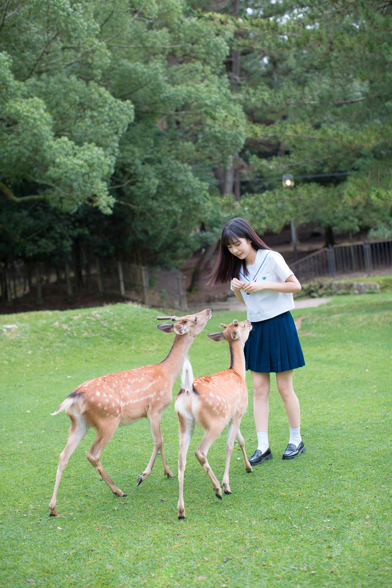 奈良半夏